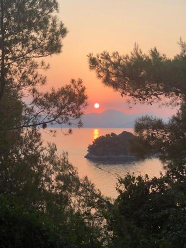 Villa Radulj – Photos 3