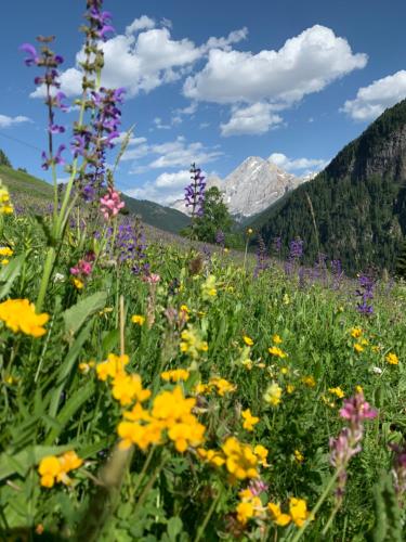Chalet Pian – Photos 3