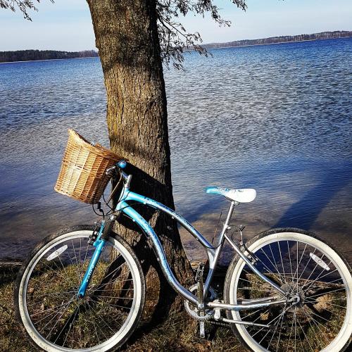 a bike parked next to a tree next to the water at Sterla - Masuria in Giżycko