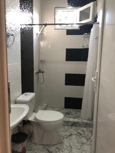 a bathroom with a toilet and a sink and a microwave at Guesthouse Family in Batumi