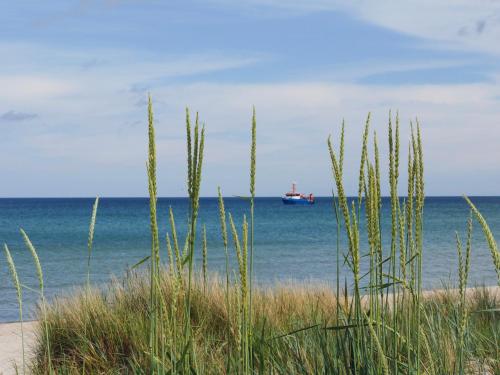 Inselloft Rügen - Meerblick, Pool & eigener Strandzugang photo 43