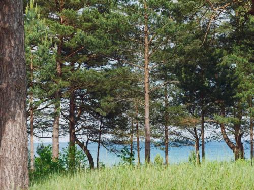 Inselloft Rügen - Meerblick, Pool & eigener Strandzugang photo 45