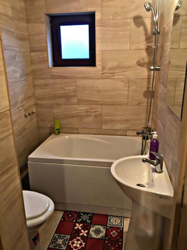 a bathroom with a tub and a sink and a toilet at La Curtea Veche in Lăpuş