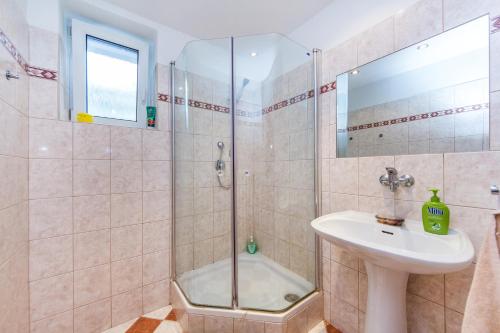 a bathroom with a shower and a sink and a toilet at Pension Milada in Klecany