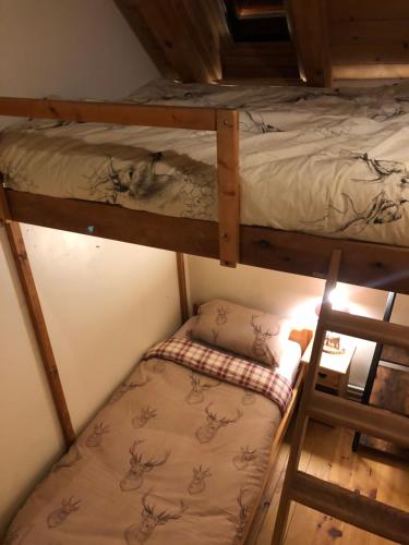 Postel nebo postele na pokoji v ubytování Ecrins Lodge