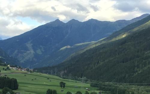 アパートメントの近くで見られる自然の景観
