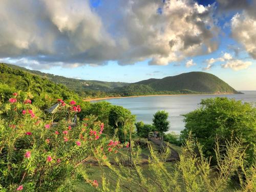 a view of a body of water with pink flowers at Villa Mabouya Fort Royal in Deshaies