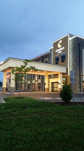 Comfort Inn White House – Photos 3