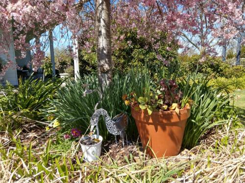a garden with a pot of flowers and plants at Cradle at Casa Blanca Country Retreat in Barrington