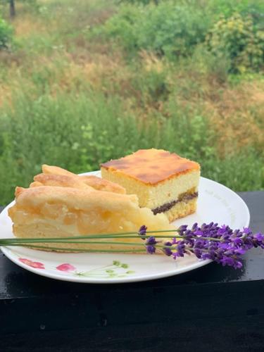 a plate with a piece of cake and a fork and a piece of flowers at Sarnia Polana in Kostrzyca