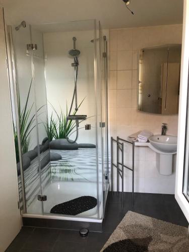 a glass shower in a bathroom with a sink at Ferienwohnung Kuhn in Rhumspringe