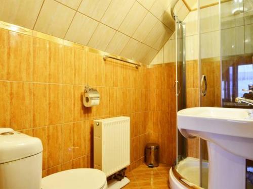a bathroom with a toilet and a sink at Villa Mariano Michałowice in Piechowice