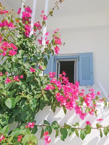 Gallery image of Klironomos Apartments Logaras in Logaras