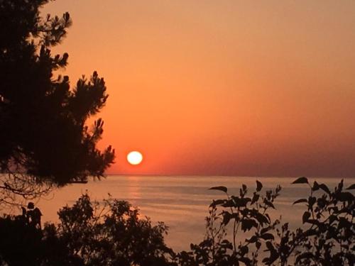Φωτογραφία από το άλμπουμ του Ecoclub στη Βάρνα