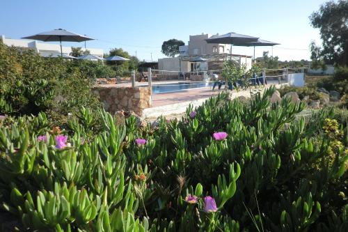 Taman di luar Poseidon Suites Hotel