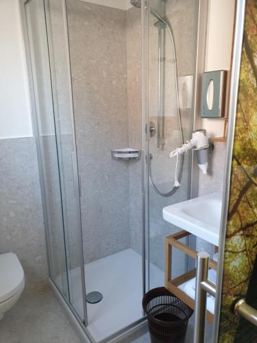 uma casa de banho com um chuveiro e um WC. em Bed&Breakfast Pension Hilpold em Lana