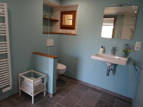 a bathroom with a sink and a toilet at La Terralha in Saint-Pierre-Toirac