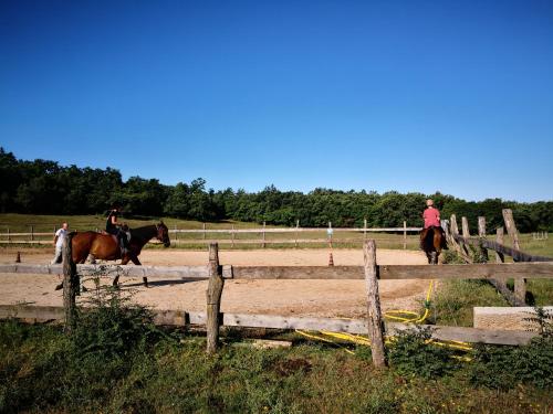 a group of people riding horses on a dirt track at Casa Romantica in Umag