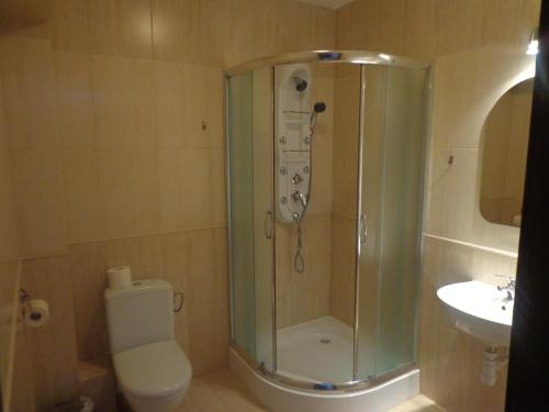 a bathroom with a shower and a toilet and a sink at Hotel & Restauracja Euforia in Garwolin