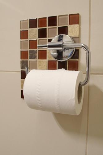 a roll of toilet paper on a holder in a bathroom at Klass 103 in Kranjska Gora