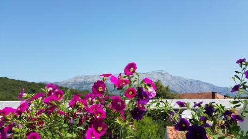 un ramo de flores rosas con montañas en el fondo en Apartman LUCIJA, en Korčula