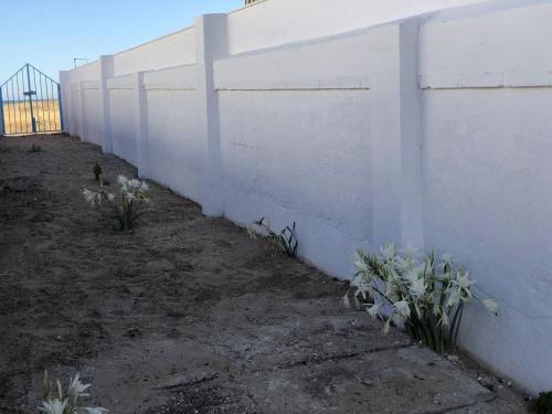 Gambar di galeri bagi El Chalet di Punta Umbría