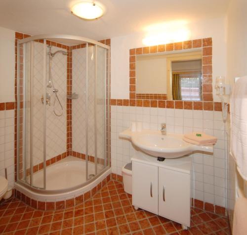 a bathroom with a shower and a sink and a toilet at Heisshof in Schladming