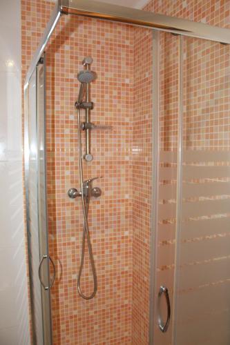 a shower with a shower head in a bathroom at Charming Baixa II in Lavradio