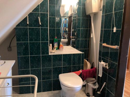 ein Badezimmer mit einem WC und einer grün gefliesten Wand in der Unterkunft Ubytovanie na súkromí in Turčianske Teplice