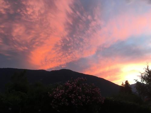 a sunset over a mountain with a tree in the foreground at Residence Bichler in Merano