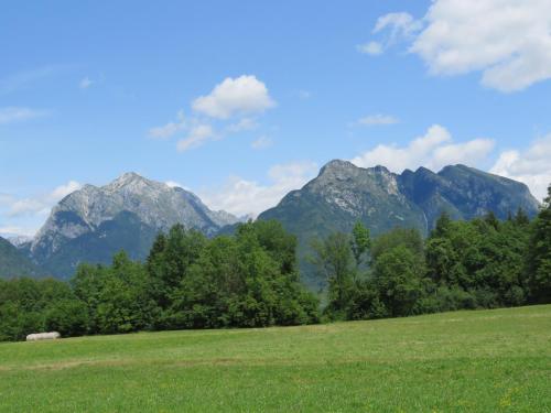 a field with trees and mountains in the background at Počitniška hiška Jager Čezsoča in Čezsoča