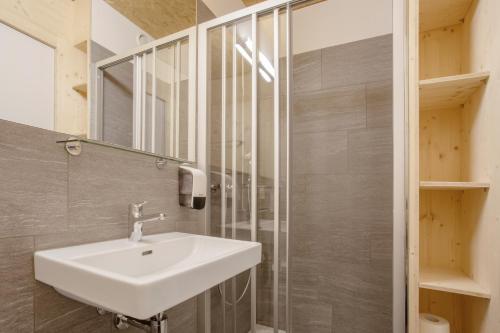 a bathroom with a sink and a mirror at Sport- und Ferienhaus Don Bosco in Lenzerheide