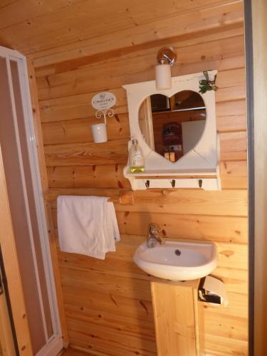 une salle de bain avec un lavabo et un miroir dans l'établissement Gites et Roulottes Du Grand Puits, à Saint-Laurent-dʼAigouze