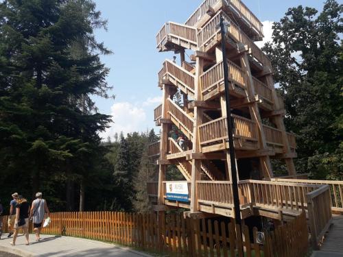 una casa en un árbol de madera con gente caminando alrededor de ella en Apartament Pod Tężnią, en Głuchołazy