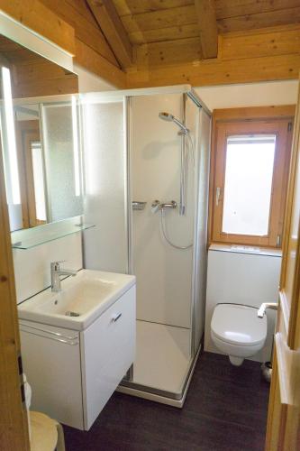 a bathroom with a shower and a sink and a toilet at Ferienhaus Bayern Chalet 22 in Stamsried