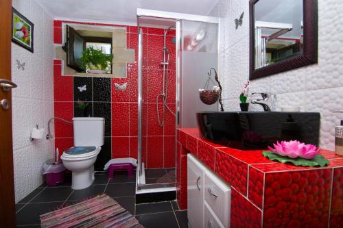 Baño rojo con aseo y lavamanos en Mansion Rokka with BBQ and Fireplace en Kíssamos