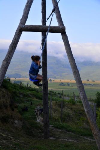 a girl on a rope swing with a dog at El Pontón de Lanchares in Lanchares