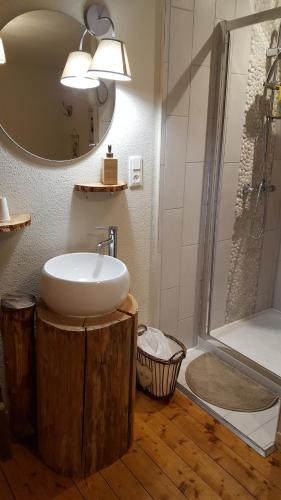 a bathroom with a sink and a mirror and a shower at Les Iris Chambres d’hôte in Niedermorschwihr