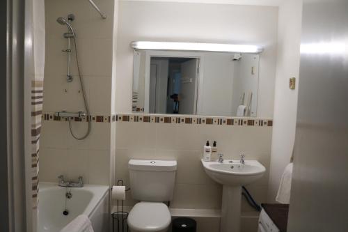 a bathroom with a toilet and a sink and a mirror at City Apartment in Winchester