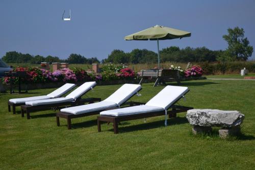 a row of benches with an umbrella on a field at El Rincón del Oteru in Llanes