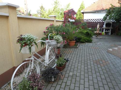 En have udenfor Andi Apartman