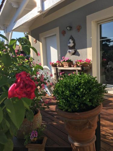 Chambres d'Hôtes d'Aliénor