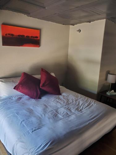 a bed with two red pillows in a room at The Hotel Sturgis in Sturgis