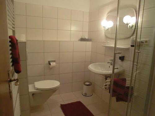 małą łazienkę z toaletą i umywalką w obiekcie Fritz'es Goldener Stern w mieście Schauenburg