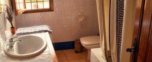 a bathroom with a sink and a toilet at Cortijo Los Gorros in Moratalla