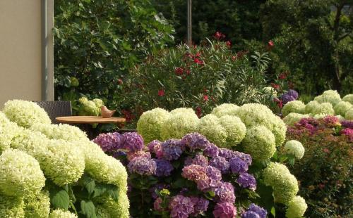 a garden filled with lots of different colored flowers at Gästehaus Weberskirch in Ernst
