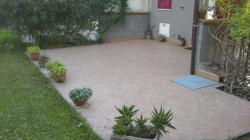 Κήπος έξω από το Sunshine Villa