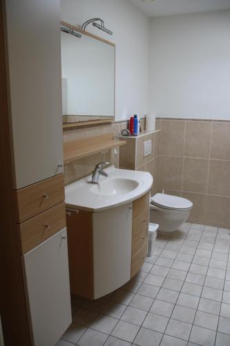 a bathroom with a sink and a toilet at tisOKE in Vught