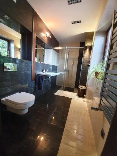 ein Bad mit einem WC, einem Waschbecken und einer Dusche in der Unterkunft Villa ENERGY in Zator