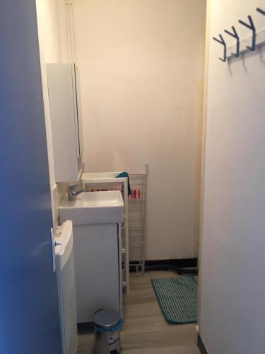 Elle comprend une petite salle de bains pourvue d'un lavabo et d'un comptoir. dans l'établissement APPARTEMENT RDC 4 PERS A 100 M DE LA MER, à Fort-Mahon-Plage